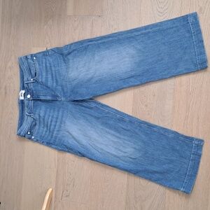 Size 32 Paige NELLIE High Rise Wide Leg Jeans